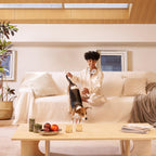 Cozy Winter Style Sofa/Couch Cover - Limited Time Offer