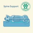 Fully Orthopedic Surround Support Waterproof Large Dog Bed