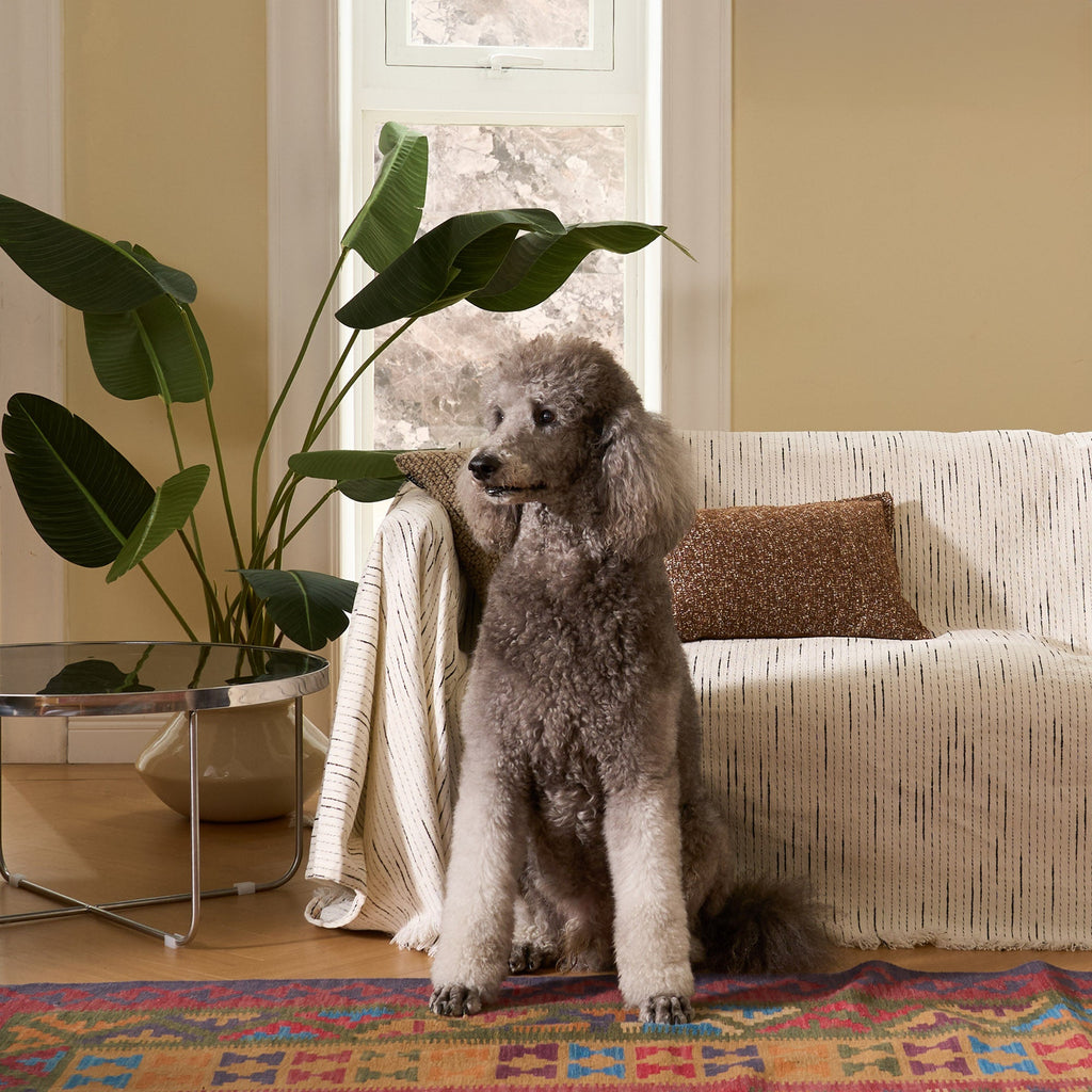 Jacquard Chenille Sofa / Couch Cover - Limited Time Offer