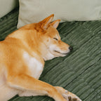 Lazy Soft Flannel Breathable Pet Mat Non-slip Sofa Covers