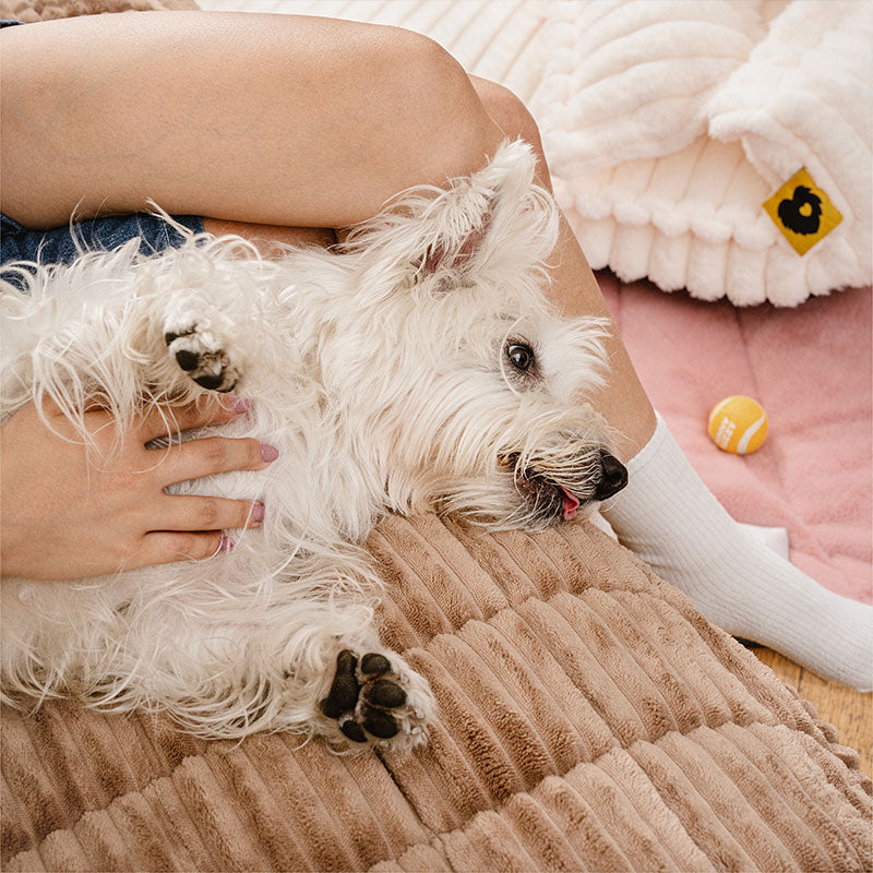 Lazy Soft Flannel Breathable Pet Mat Non-slip Sofa Covers